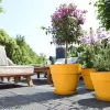 Elho bloempot Vibia Campana geel D 29,8 H 25,8 cm