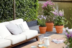 Elho bloempot Vibia Campana terracotta D 24,5 H 21 cm