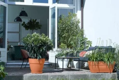 Elho bloempot Vibia Campana terracotta D 34,5 H 29,7 cm