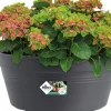 Elho Green Basics schaal 33cm living black