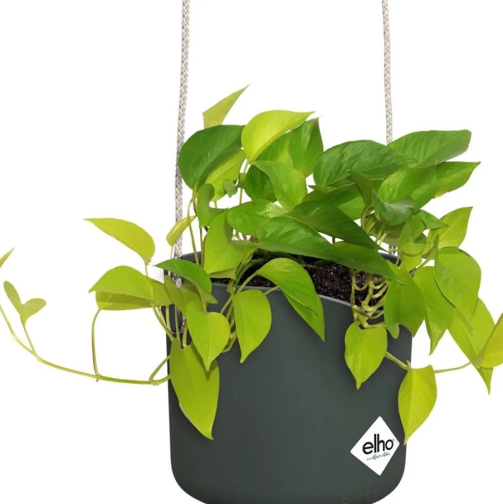 Elho hangpot B. for swing groen 20,5 x 20 x 16,5 cm