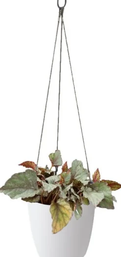 Elho hangpot Brussels wit D 21,5 H 18 cm