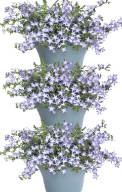 Elho hangpot Corsica lichtblauw 26,7 x 17 x 29,7 cm 3 stuks