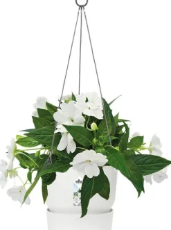 Elho hangpot met waterreservoir Greenville wit D 23,5 H 20,5 cm