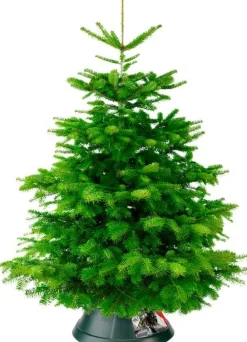 Elho kerstboomstandaard Nordmann D 39 cm groen