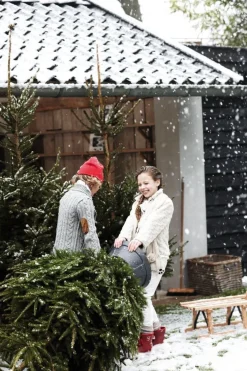 Elho kerstboomstandaard Nordmann D 39 cm groen