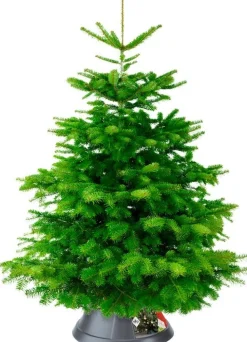 Elho kerstboomstandaard Nordmann 39 cm antraciet