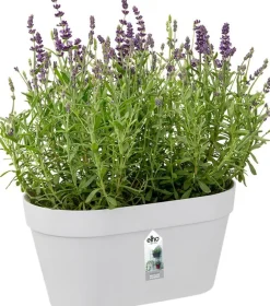 Elho muur bloempot Loft Urban wit 28 x 15 x 13,2 cm