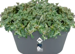 Elho muur bloempot Loft Urban antraciet 39,3 x 19,8 x 18,8 cm
