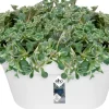 Elho muur bloempot Loft Urban wit 39,3 x 19,8 x 18,8 cm
