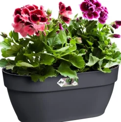 Elho muur plantenbak Vibia Campana antraciet 35 x 16,2 x 14,8 cm