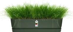 Elho plantenbak met waterreservoir Greenville groen 69 x 19,5 x 18,5 cm