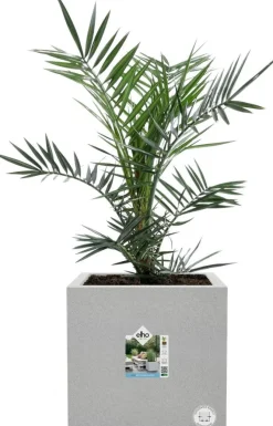 Elho plantenbak Vivo Next grijs 29,5 x 29,5 x 29,5 cm