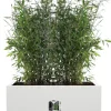 Elho plantenbak Vivo Next wit 59 x 29,5 x 29,2 cm