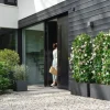 Elho plantenbak Vivo Next zwart 29,5 x 29,5 x 29,5 cm