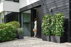 Elho plantenbak Vivo Next zwart 59 x 29,5 x 29,2 cm