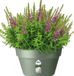 Elho plantenschaal Loft Urban groen D 34,5 H 20,2 cm