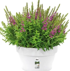 Elho plantenschaal Loft Urban wit D 34,5 H 20,2 cm