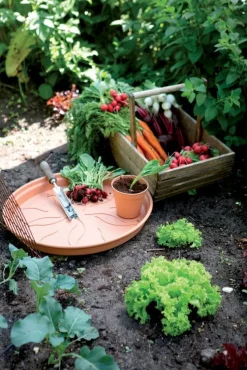Elho plantenschotel Green Basics terracotta D 16,8 H 2,4 cm