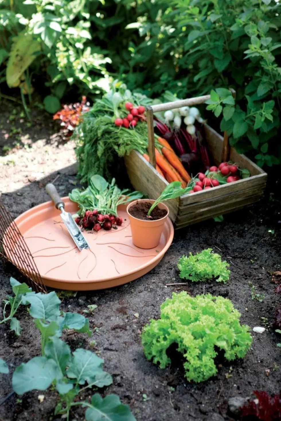 Elho plantenschotel Green Basics terracotta D 16,8 H 2,4 cm