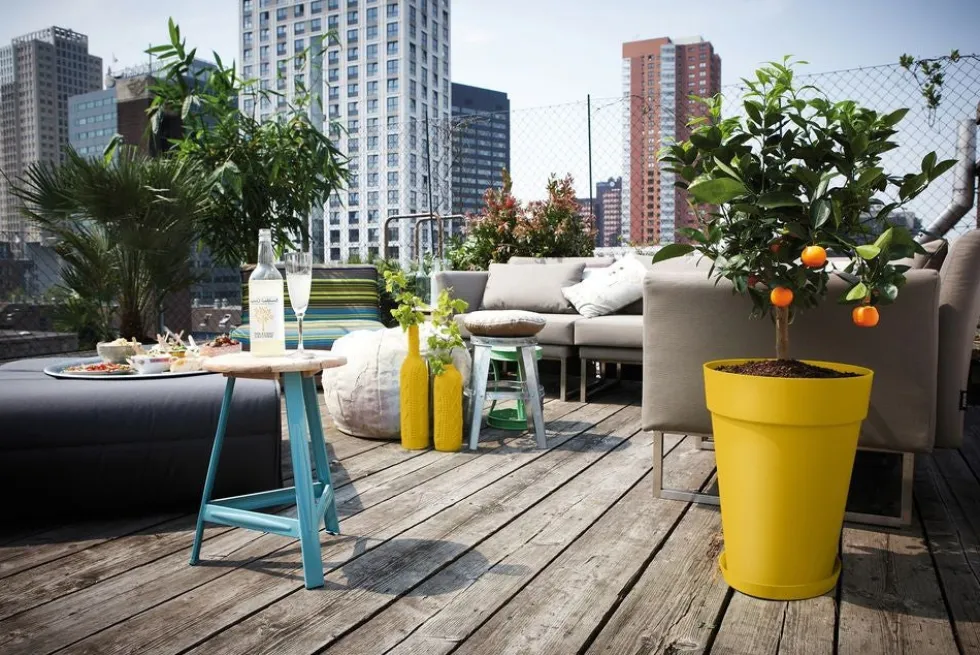 Elho plantenschotel Loft Urban geel D 17,2 H 2,3 cm