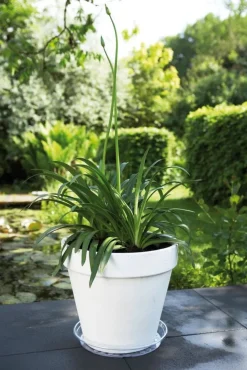 Elho plantenschotel Universeel transparant D 41,6 H 5,2 cm