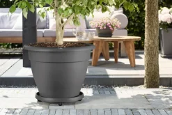 Elho plantentrolley Universeel antraciet D 38,2 H 6,5 cm