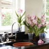 Elho schotel Green Basics orchidee D 13,5 H 2 transparant
