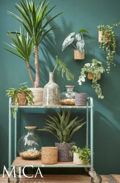 Everydays by Intratuin plantenmand Atlantic naturel D 12 H 12 cm