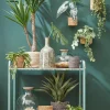 Everydays by Intratuin plantenmand Atlantic naturel D 18 H 18 cm