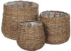 Everydays by Intratuin plantenmand Avalon naturel D 18 H 21 cm