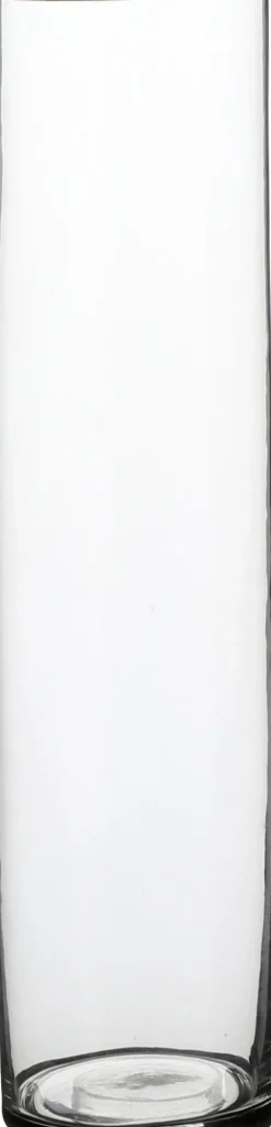 Everydays by Intratuin vaas Carly transparant D 9 H 40 cm