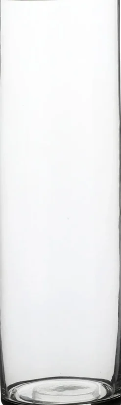Everydays by Intratuin vaas Carly transparant D 9 H 30 cm