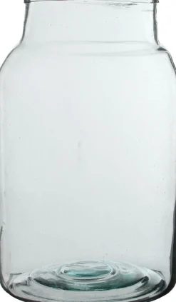 Everydays by Intratuin vaas Vienne transparant D 21 H 35 cm