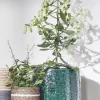 Every Days plantenmand Celestial wit D 6,5 H 6,5 cm