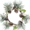 Hogewoning Seasonal kerstkrans besneewd wit met dennenappel D 20 H 4 cm