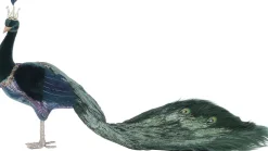 House of Seasons kerstfiguur pauw groen 92 x 36 x 47 cm
