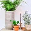 HS bloempot Nagano crème D 22 H 40 cm