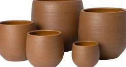Intratuin bloempot Billi donkerbruin D 22 H 20 cm