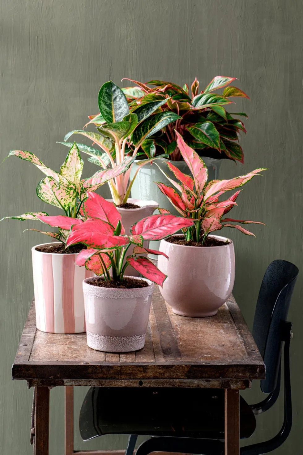 Intratuin bloempot Country groen D 29 H 29 cm