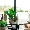 Intratuin bloempot Firenze groen D 48 H 48 cm