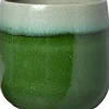 Intratuin bloempot Goro groen D 16 H 14 cm
