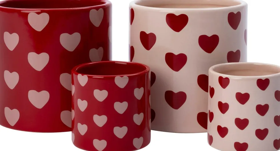 Intratuin bloempot Hartjes rood D 8 H 8 cm