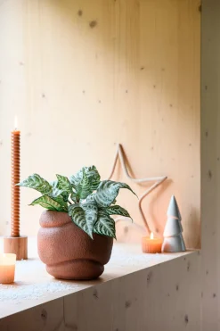Intratuin bloempot Lilo terracotta D 17,5 H 16 cm