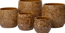 Intratuin bloempot Lotje bruin D 18 H 16 cm