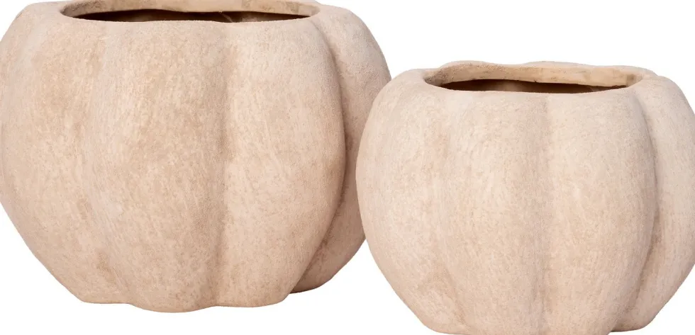 Intratuin bloempot Nature's Harvest beige D 17 H 12 cm