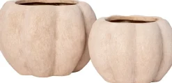 Intratuin bloempot Nature's Harvest beige D 21 H 14 cm