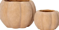 Intratuin bloempot Nature's Harvest terracotta D 17 H 12 cm