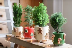 Intratuin bloempot op poten Jiya zuurstok groen D 16 H 15 cm