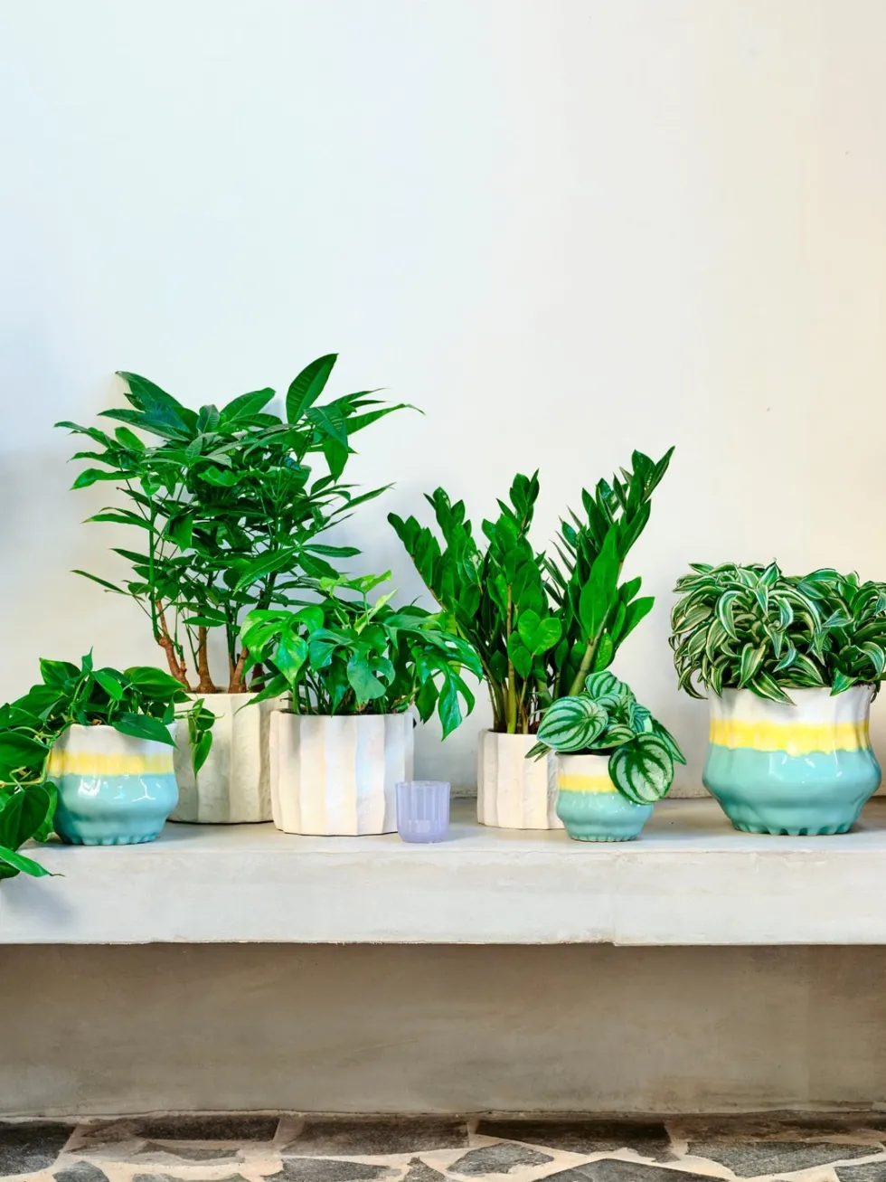 Intratuin bloempot op voet Adil wit / geel / groen D 19 H 16 cm